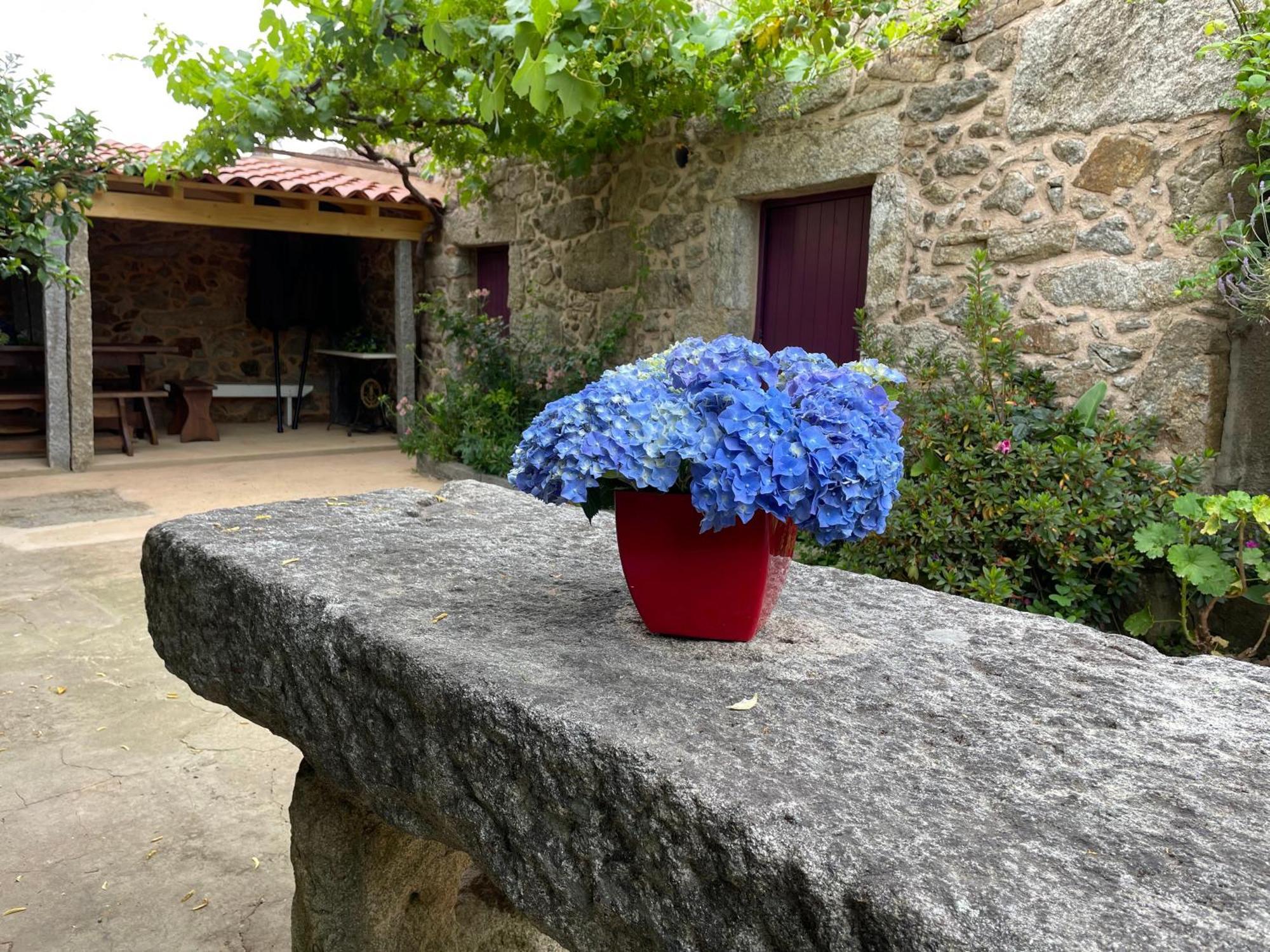 Casa Velha-Santiagofamilyhouse Villa Sever do Vouga Bagian luar foto